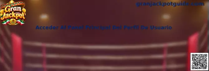 Acceder Al Panel Principal Del Perfil De Usuario