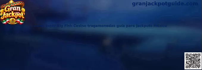 Guía ilustrativa para aprender a jugar Big Fish Casino, reconocer sus tragamonedas y entender los jackpots virtuales